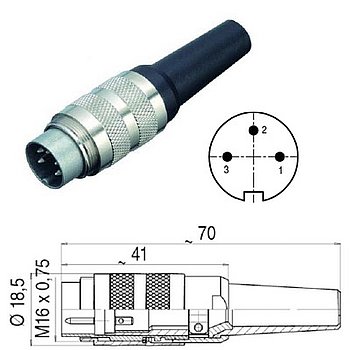 Plug for ECS/LEVEL